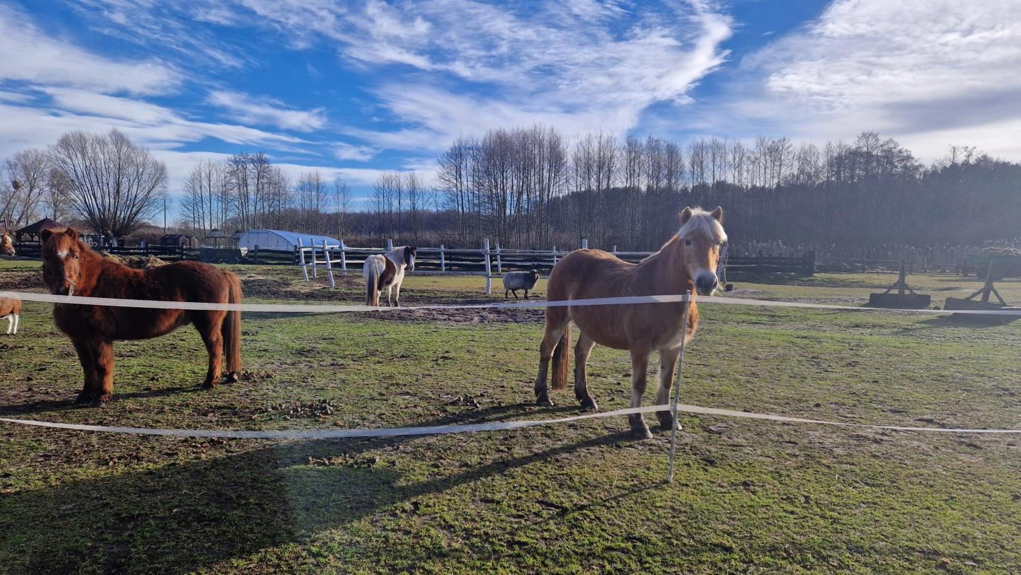 Rancho Colorado Villa Trzciel Eksteriør billede
