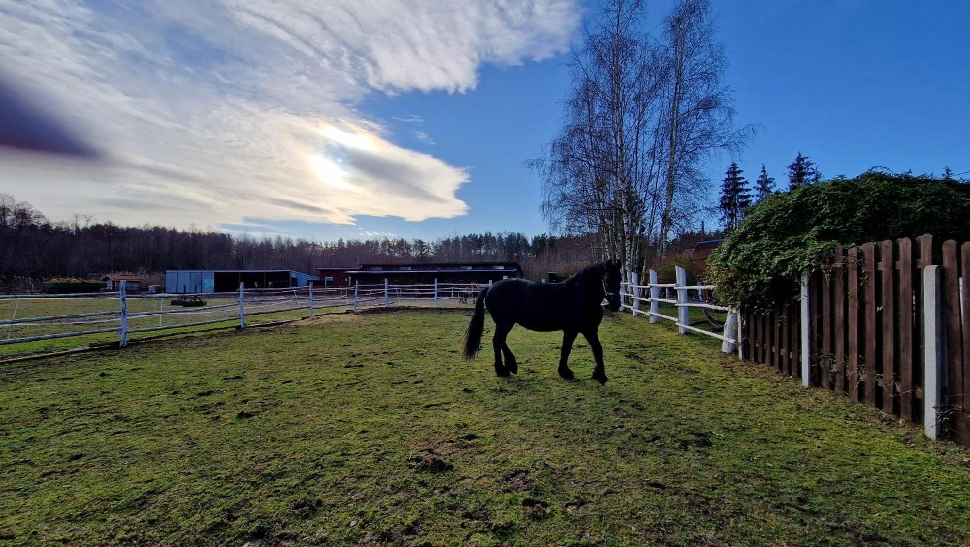 Rancho Colorado Villa Trzciel Eksteriør billede