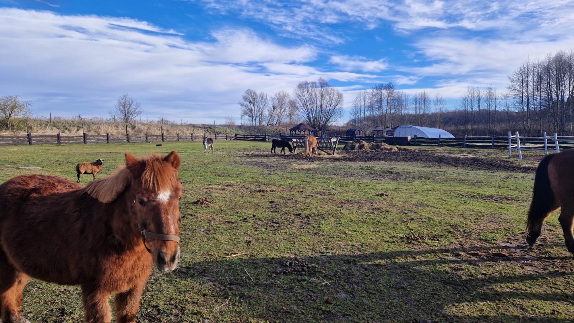 Rancho Colorado Villa Trzciel Eksteriør billede