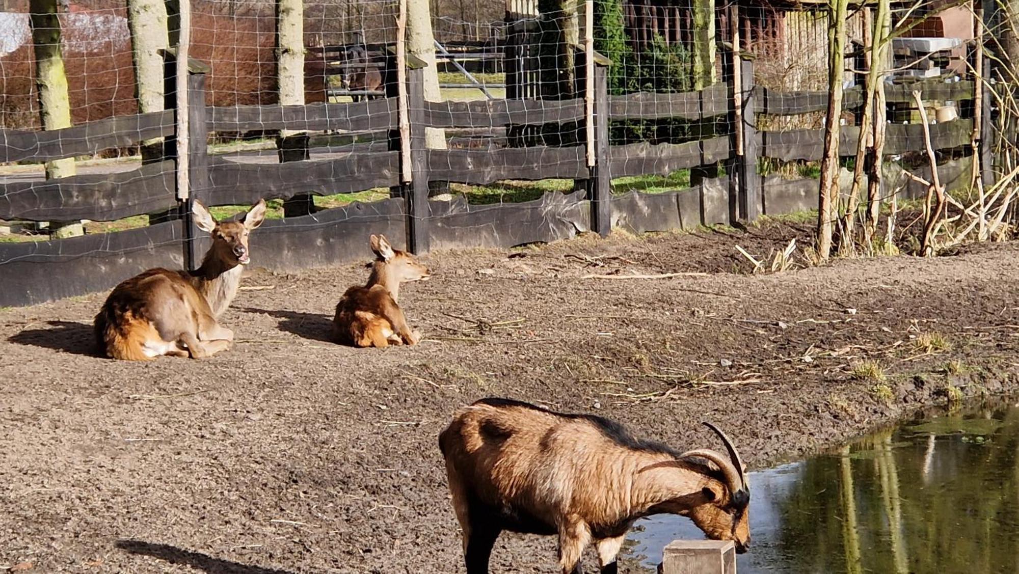 Rancho Colorado Villa Trzciel Eksteriør billede
