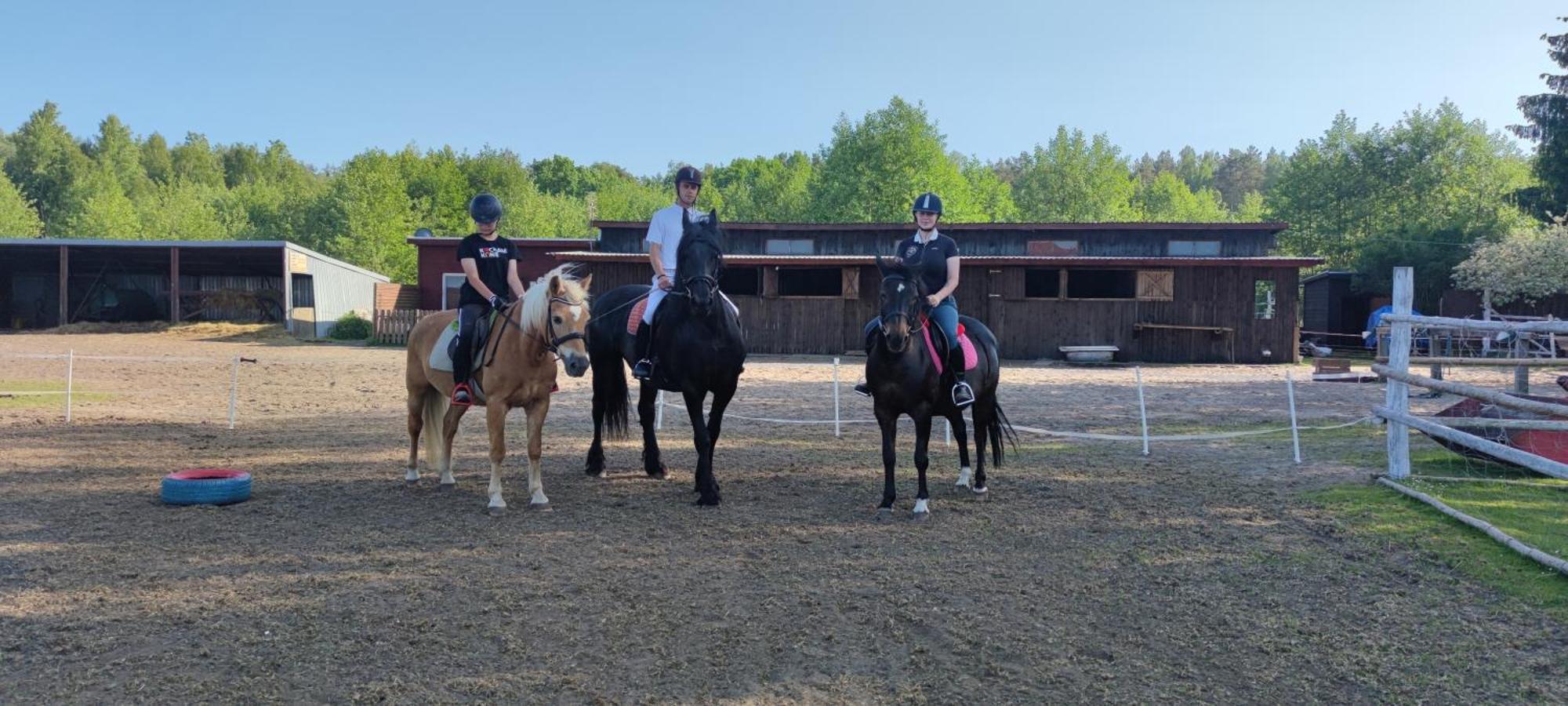 Rancho Colorado Villa Trzciel Eksteriør billede