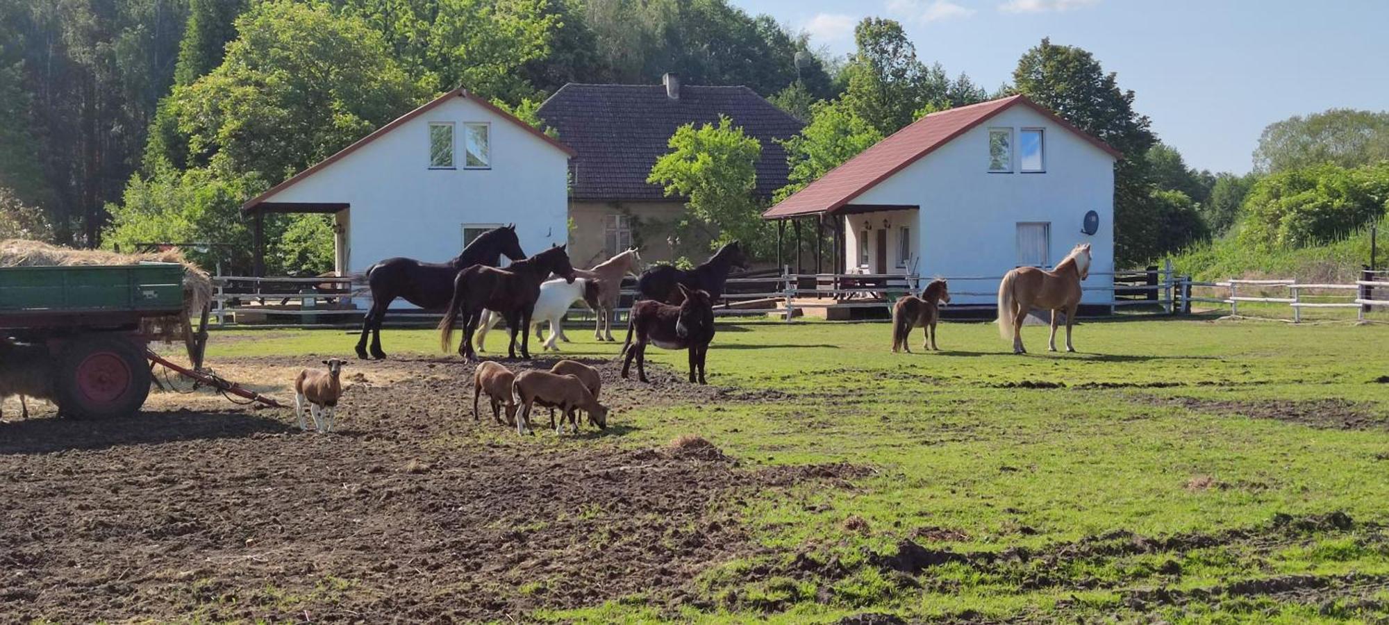 Rancho Colorado Villa Trzciel Eksteriør billede